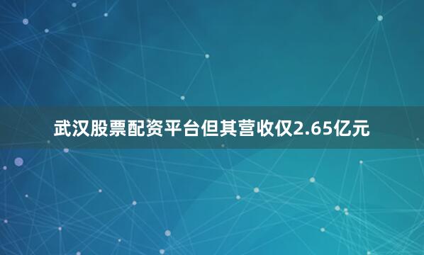 武汉股票配资平台但其营收仅2.65亿元