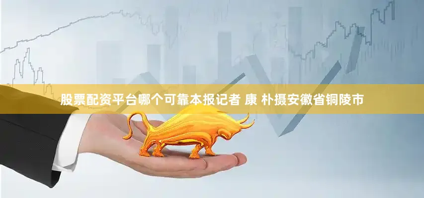 股票配资平台哪个可靠本报记者 康 朴摄安徽省铜陵市