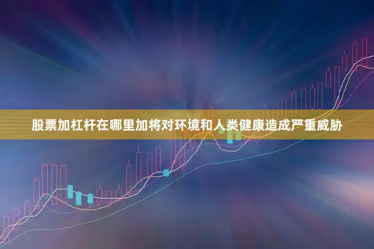 股票加杠杆在哪里加将对环境和人类健康造成严重威胁